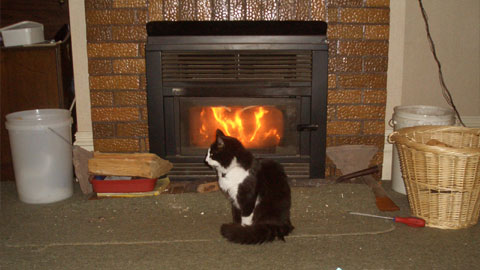 ネコは暖炉で丸くなる。