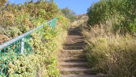 迷惑ながら、自転車は民家の脇に止めておく。