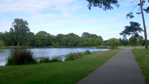 手入れされてる巨大公園